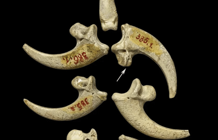 15 Mind-Blowing Historical Facts That School Never Taught You